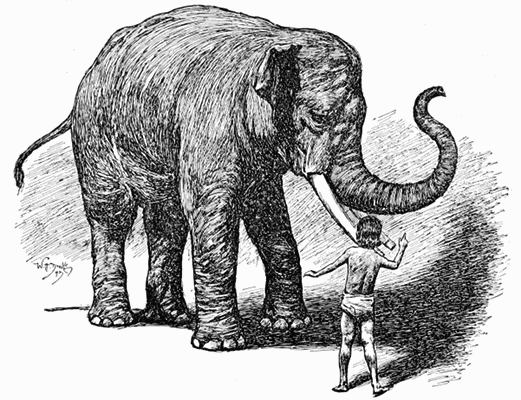 "'HE IS AFRAID OF ME,' SAID LITTLE TOOMAI, AND HE MADE KALA NAG LIFT UP
HIS FEET ONE AFTER THE OTHER."
