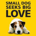 Click here to show your support for Dogs Trust